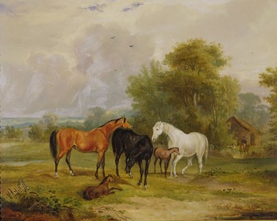 放牧馬：フィールドの馬と子馬 作： Francis Calcraft Turner