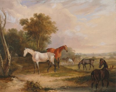 馬の放牧: 牧草地で牝馬と一緒に放牧する灰色の種牡馬 作： Francis Calcraft Turner