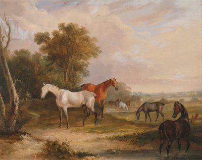 草を食む馬：草原で繁殖牝馬と草を食む灰色の種馬 作： Francis Calcraft Turner