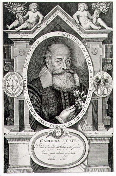 マティアス・デ・ローベル（1538-1622）の肖像が彫られています。 作： Francis Delaram