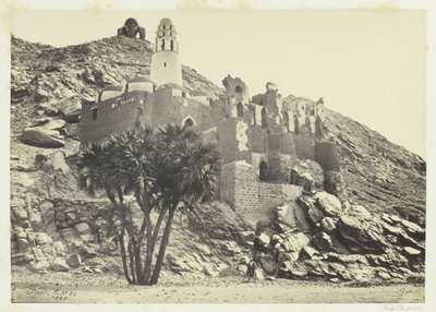 ドゥーム パームと廃墟のモスク、フィラエ、1857 年。 作： Francis Frith