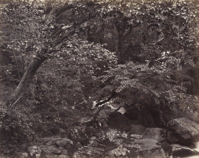 リンマスのグレン、1860年代 作： Francis Frith