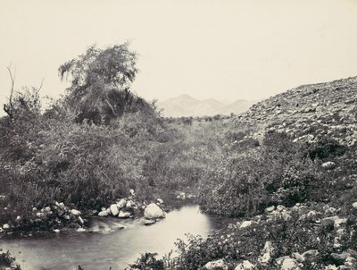 ジェリコの泉と市の推定地、カリフォルニア州。 1857年。 作： Francis Frith
