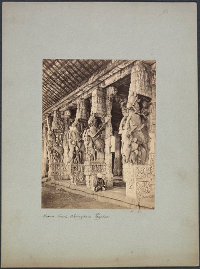 トリチノポリ ホース コート、1850 年代から 1870 年代。 作： Francis Frith and Co.