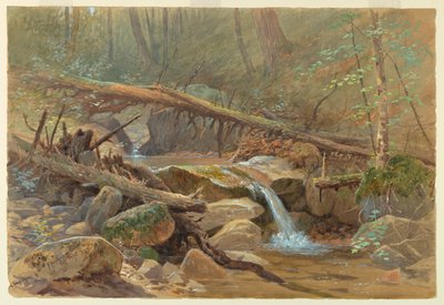 森の中のプール 作： Francis Hopkinson Smith