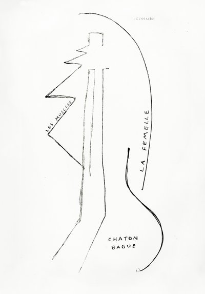 ローザンヌ、Imprimeries Reuniesより出版された "Poemes et Dessins de la Fille nee sans Mere "23号。 作： Francis Picabia