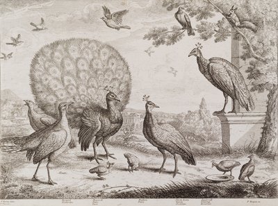 孔雀と鳥のグループ（彫刻） 作： Francis Place