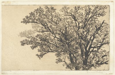 木の冠 最古の木 作： Francis Seymour Haden (Sir) (signed by artist)
