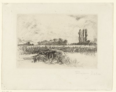 氾濫原 水の牧草地 作： Francis Seymour Haden (Sir) (signed by artist)