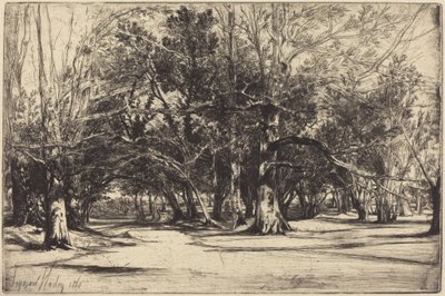  作： Francis Seymour Haden
