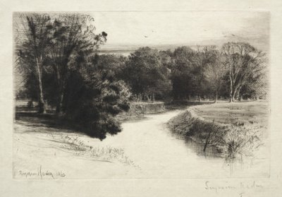 アイルランドの夕日 作： Francis Seymour Haden
