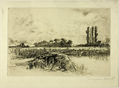 水の牧草地 作： Francis Seymour Haden