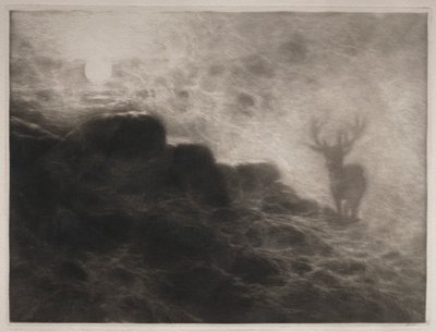 アーリーライザー、1897年。 作： Francis Seymour Haden