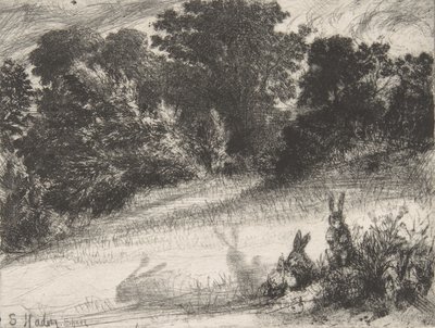 クーム・ボトム、1860年、1860年。 作： Francis Seymour Haden