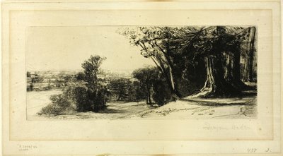 早朝、リッチモンド公園 作： Francis Seymour Haden