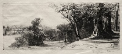 早朝、リッチモンドパーク。 作： Francis Seymour Haden
