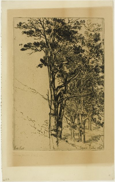 モミ (研究) 作： Francis Seymour Haden