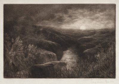 蚊の出没。 作： Francis Seymour Haden