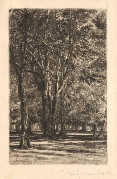ケンジントンガーデンズ、No。2ラージプレート、1860。 作： Francis Seymour Haden