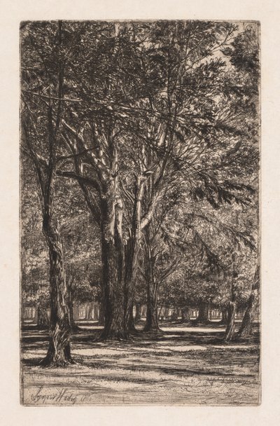 ケンジントンガーデン、第2大きいプレート、1860。 作： Francis Seymour Haden