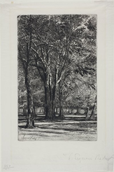 Kensington Gardens, No. II (大皿) 作： Francis Seymour Haden
