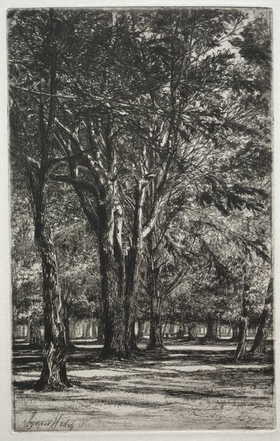 ケンジントンガーデンズ、ラージプレート、1860。 作： Francis Seymour Haden