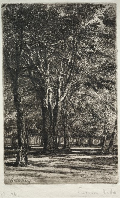 ケンジントンガーデンズザラージャープレート、1860。 作： Francis Seymour Haden