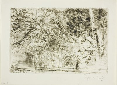小川の口 No. II 作： Francis Seymour Haden