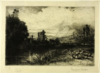 テストについて 作： Francis Seymour Haden