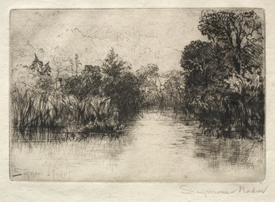 Shere Mill Pond小規模な調査。 作： Francis Seymour Haden