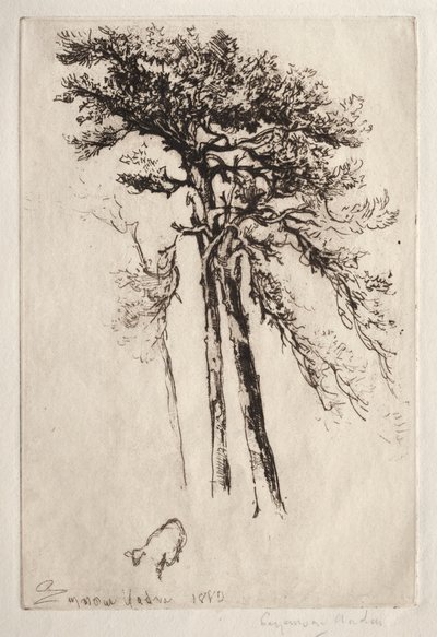 最新のツリー 作： Francis Seymour Haden
