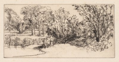 リトルロングパリッシュ、1896年。 作： Francis Seymour Haden