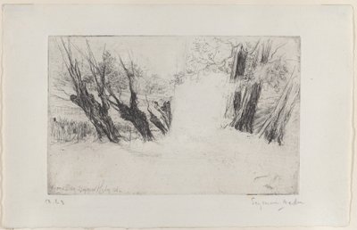 恋人の散歩、No. I、1864年、1864年。 作： Francis Seymour Haden