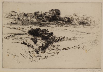 ウィンドミルヒルNo.2 作： Francis Seymour Haden