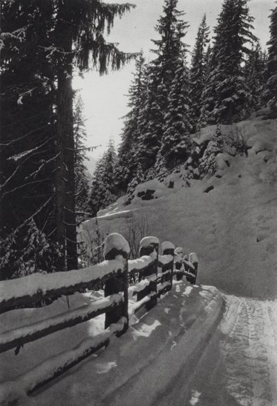 アルプス: 冬の朝、サン アントン付近 (白黒写真) 作： Francis Sydney Smythe