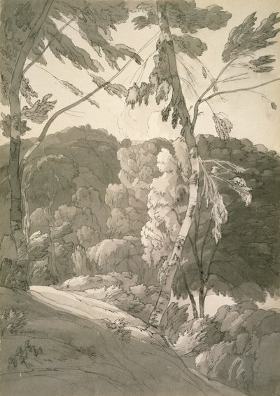 No.1091森の風景（インディノワールの情景）1783年（紙に鉛筆、ペン、インクでウォッシュ） 作： Francis Towne