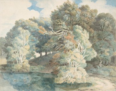 湖畔の木、ピーモア公園、デボン州エクセター近く、1790～1810年。 作： Francis Towne