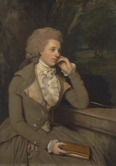 スティーブンス夫人、1795年頃（キャンバスに油彩） 作： Francis Wheatley