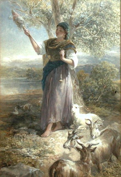 スペインの山羊（水彩・紙） 作： Francis William Topham