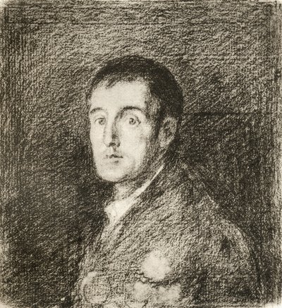 アーサー・ウェルズリー 作： Francisco (after) Goya y Lucientes
