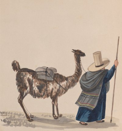 ラマと一緒に歩く女性、ペルーの衣装を描いた一連の素描から。 1848年。 作： Francisco