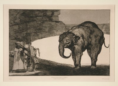 Disparate de bestia (Animal Folly)、シリーズ Los proverbios の番号のないプレート 作： Francisco de Goya
