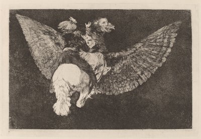 異種ボランテ（フライングフォリー） 作： Francisco de Goya