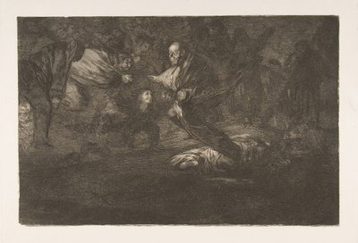 「Disparates」のプレート 18: 羽のように群がる鳥たち、約 18 年頃。 1816-23 は 1864 年に出版されました。 作： Francisco de Goya