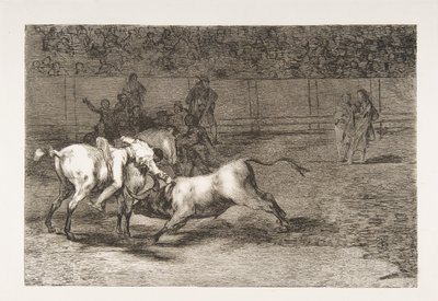 「タウロマキア」のプレート 23: マリアノ・セバージョス、通称インド人、1816 年に雄牛を殺す. 作： Francisco de Goya