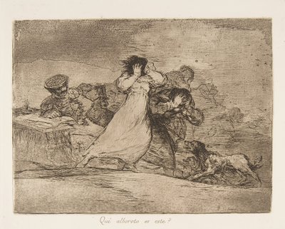 1814年から15年に1863年に発表された戦争の災害ロス・デサストレス・デ・ラ・ゲッラのプレート65 ... 作： Francisco de Goya