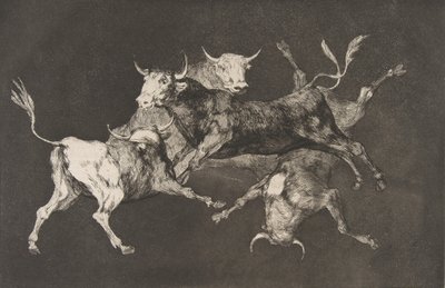 DisparatesのプレートD：Fools-or Little Bulls-fo ...、ca. 1877年より前に発行された1816-23 作： Francisco de Goya