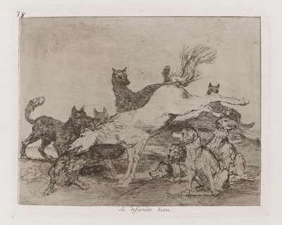 彼は自分自身をよく守る、『戦争の惨事』のプレート 78 作： Francisco de Goya