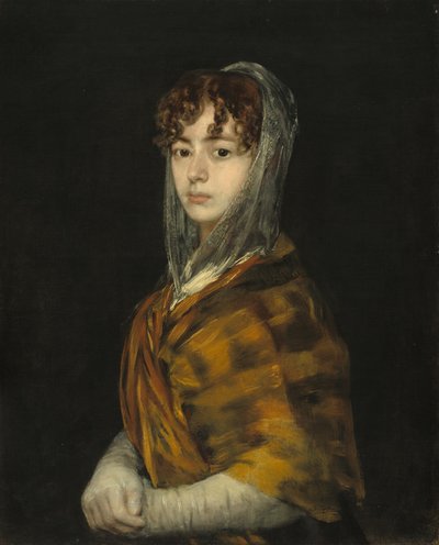 サバサ・ガルシア夫人、c。 18061811。 作： Francisco de Goya