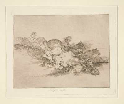 それは常に起こります（それは常に起こります）、pl。 戦争の災害からの8 作： Francisco de Goya